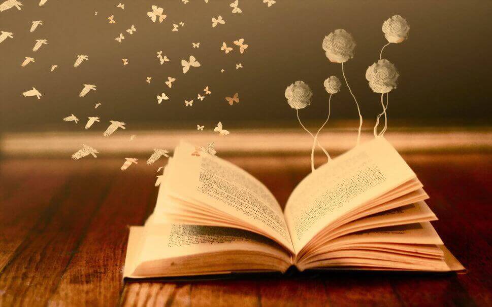 Quelques idées de livres sur les règles